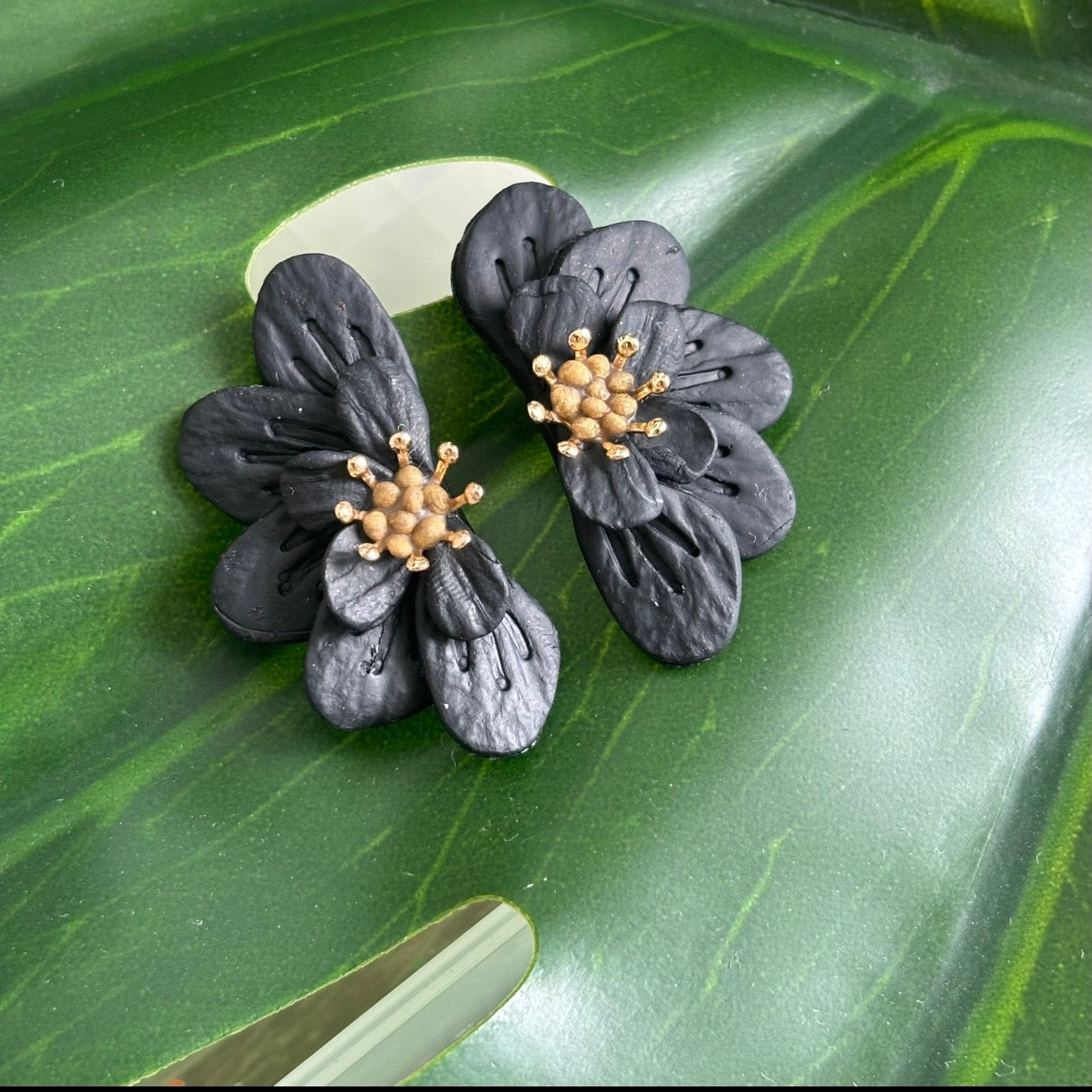 Black Half Blooms