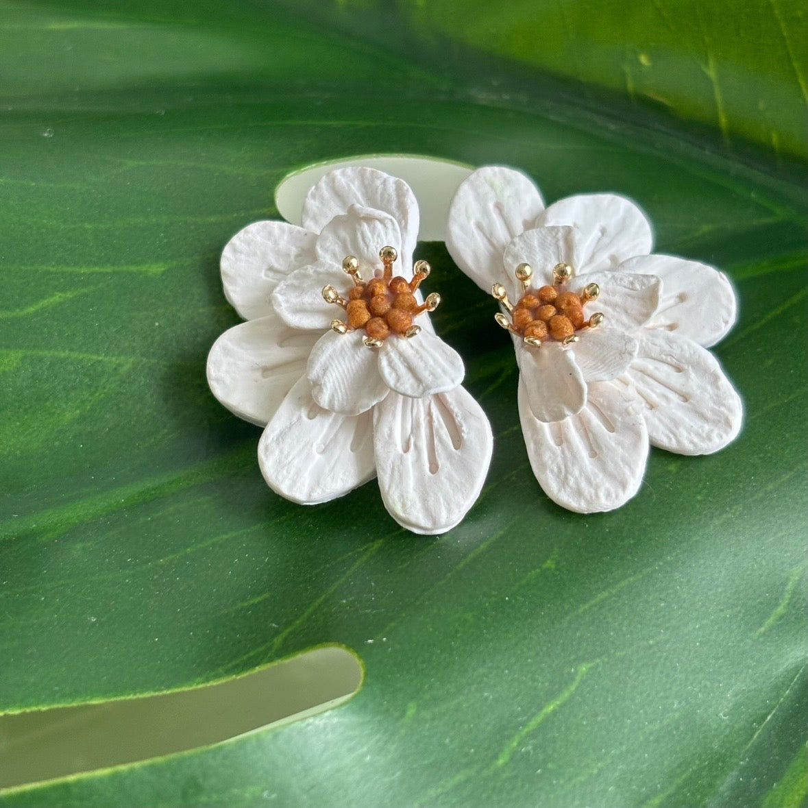 White Half Blooms