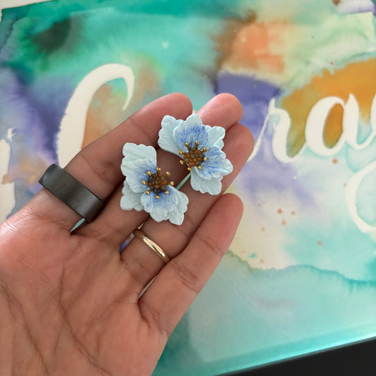 Blue Baby Blooms